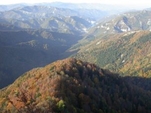 panorama1