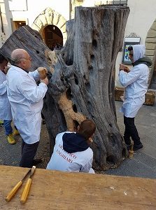 scultura tronco